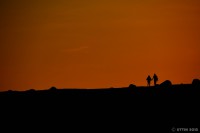 /album/photo-gallery-silhouette/%e5%9f%a0%e9%a0%ad%e3%81%ae%e5%a4%8f%e3%80%80%ef%bd%9e%e5%a4%95%e6%9a%ae%e3%82%8c%e3%83%a9%e3%83%b3%e3%83%87%e3%83%b4%e3%83%bc%ef%bd%9e-jpg1/